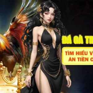 đá gà trực tiếp c3 là gì