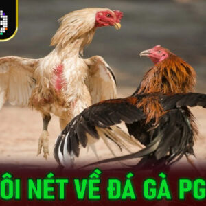 Đá Gà PG99 – Sân Chơi Cá Cược Trực Tuyến Hấp Dẫn Bậc Nhất