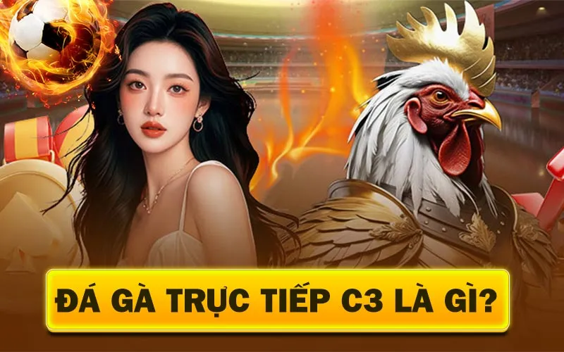 Đá Gà Trực Tiếp C3 Là Gì? Tìm Hiểu Về Giải Đấu Dễ Ăn Mà Kê Thủ Không Muốn Bạn Biết 2 Đá gà trực tiếp C3 là gì