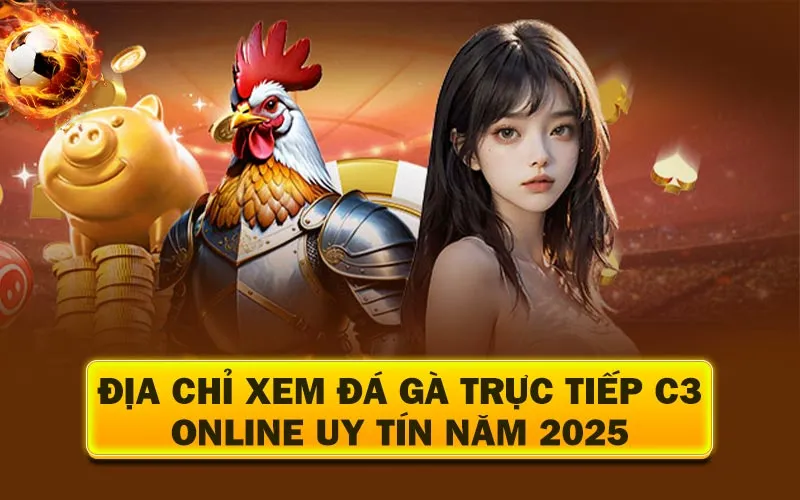 Đá Gà Trực Tiếp C3 Là Gì? Tìm Hiểu Về Giải Đấu Dễ Ăn Mà Kê Thủ Không Muốn Bạn Biết 4 Đa chỉ xem đá gà c3 online uy tín