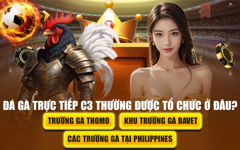 Đá Gà Trực Tiếp C3 Là Gì? Tìm Hiểu Về Giải Đấu Dễ Ăn Mà Kê Thủ Không Muốn Bạn Biết 3 Địa điểm tổ chức đá gà C3