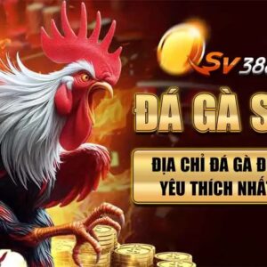 Đá gà SV388 - Địa Chỉ Đá Gà Được Kê Thủ Yêu Thích Nhất Hiện Nay