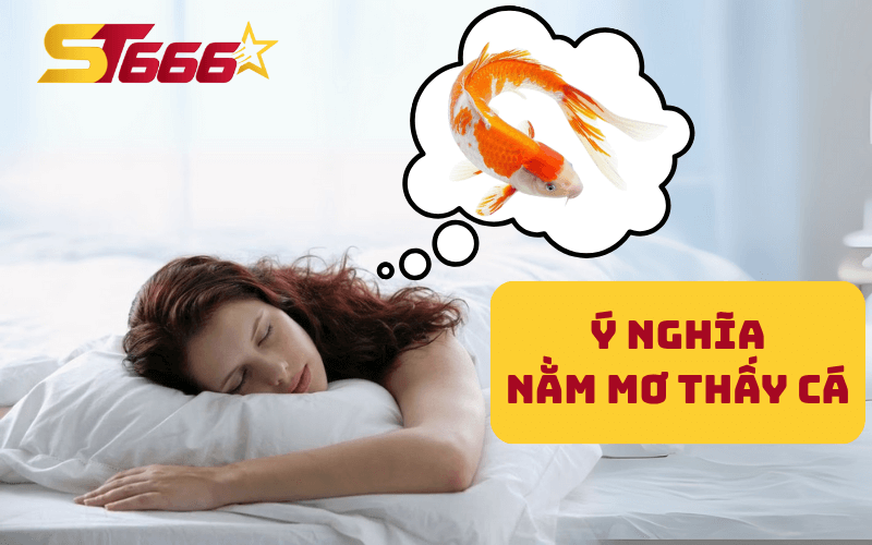 Nằm mơ thấy cá - Dự báo may mắn hay xui xẻo? 2 Ý nghĩa tâm linh của việc nằm mơ thấy cá