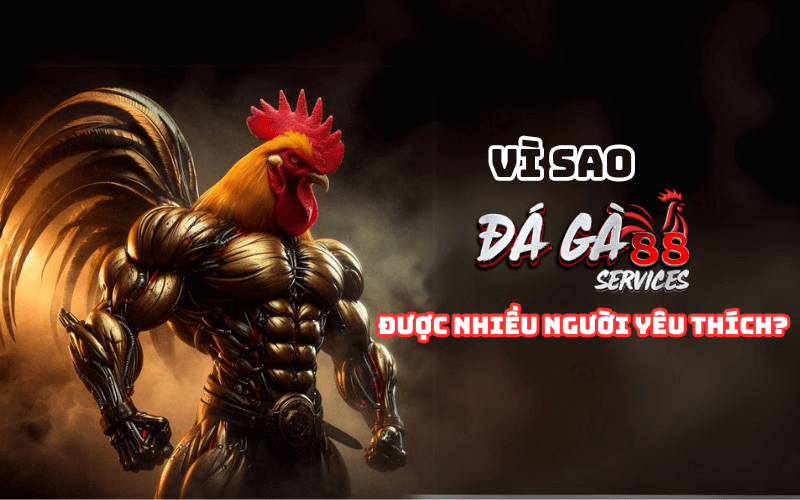 Đá gà 88 - Trang cá cược đá gà đỉnh cao và uy tín nhất 2025 2 Vì sao Đá gà 88 được nhiều người yêu thích?