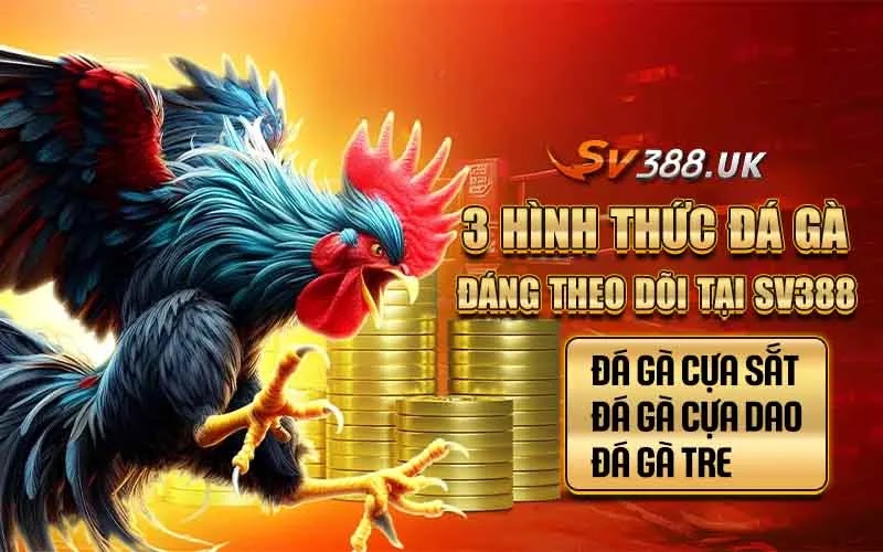 Đá gà SV388 - Địa Chỉ Đá Gà Được Kê Thủ Yêu Thích Nhất Hiện Nay 2 3 hình thức đá gà SV388