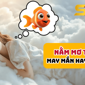 Nằm mơ thấy cá - Dự báo may mắn hay xui xẻo?
