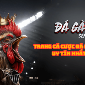 Đá gà 88 - Trang cá cược đá gà đỉnh cao và uy tín nhất 2025 3 Đá gà 88 - Trang cá cược đá gà đỉnh cao và uy tín nhất 2025
